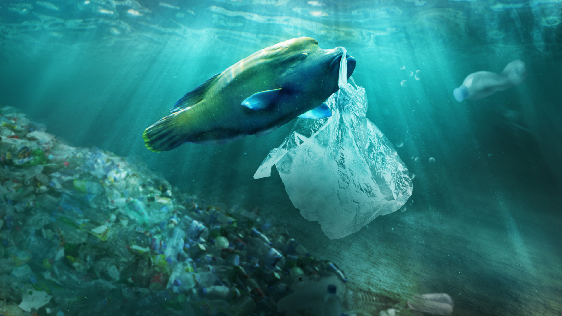 plastic waste on ocean floor